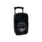 Befree Sound 8 Portable Pa Speaker 400W Bluetooth Black With Wireless Mic